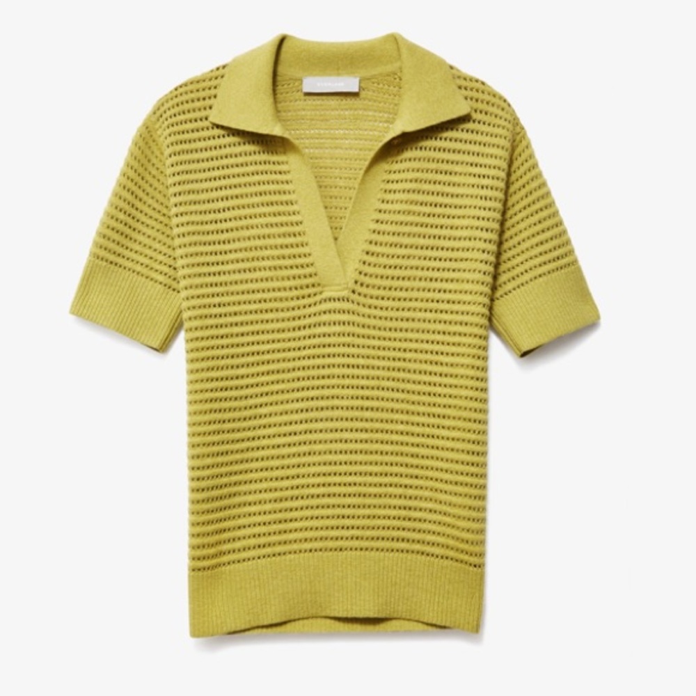 Everlane Cotton Merino Polo